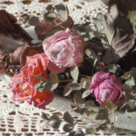 2/5 母の作品♪お庭で育てたバラのドライフラワー🌹